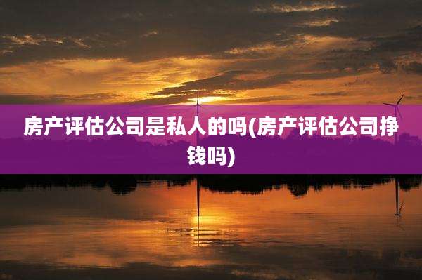 房产评估公司是私人的吗(房产评估公司挣钱吗)