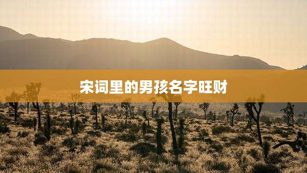 宋词里的男孩名字旺财