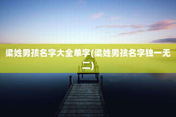 梁姓男孩名字大全单字(梁姓男孩名字独一无二)