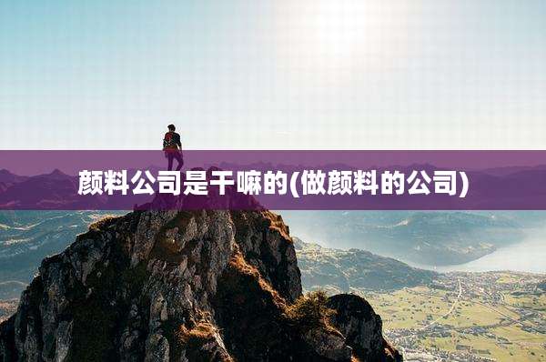 颜料公司是干嘛的(做颜料的公司)