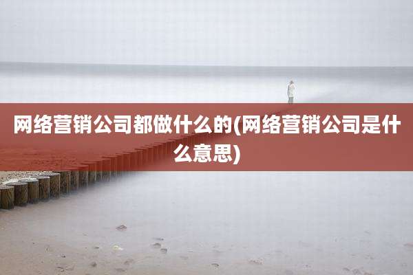 网络营销公司都做什么的(网络营销公司是什么意思)