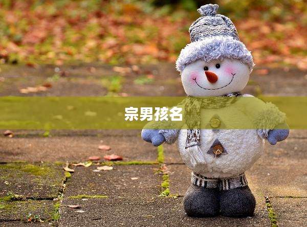 宗男孩名