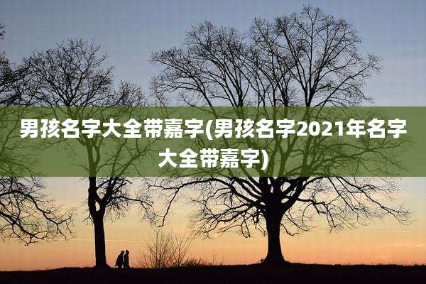 男孩名字大全带嘉字(男孩名字2021年名字大全带嘉字)