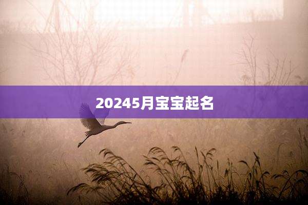 20245月宝宝起名
