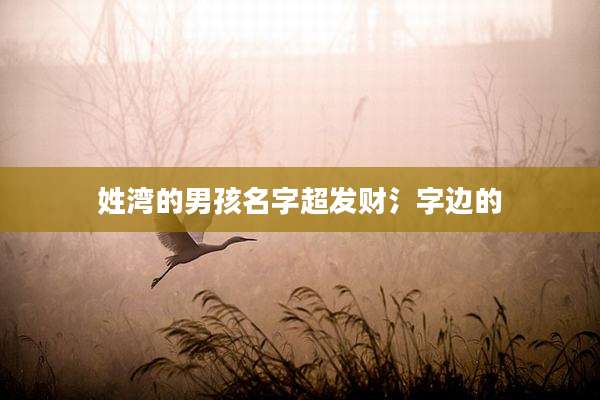 姓湾的男孩名字超发财氵字边的