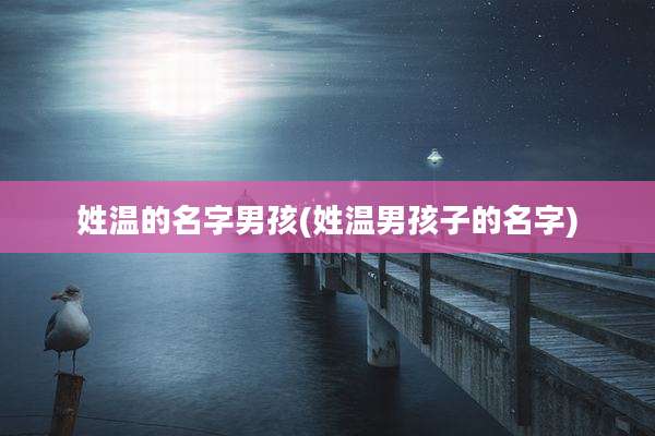 姓温的名字男孩(姓温男孩子的名字)