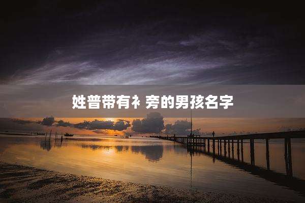 姓普带有衤旁的男孩名字
