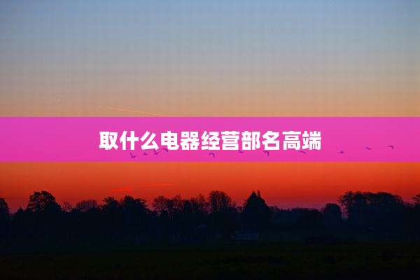 取什么电器经营部名高端