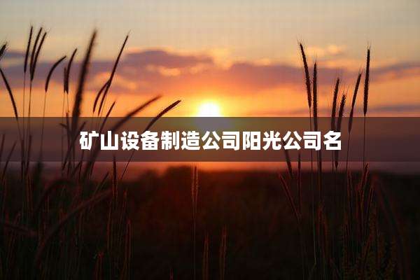 矿山设备制造公司阳光公司名