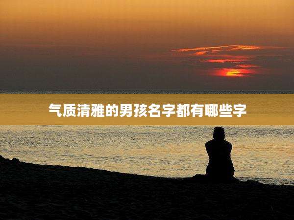 气质清雅的男孩名字都有哪些字