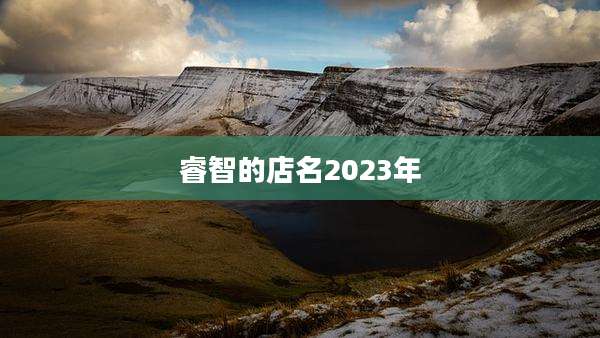 睿智的店名2023年