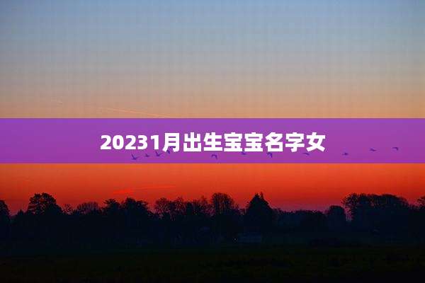 20231月出生宝宝名字女