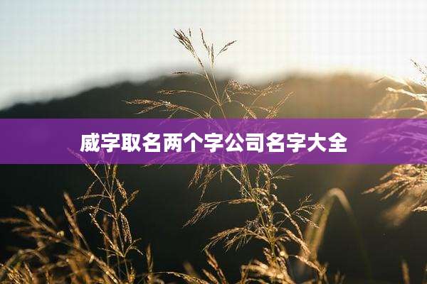 威字取名两个字公司名字大全