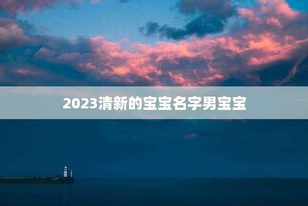 2023清新的宝宝名字男宝宝
