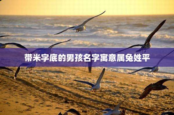 带米字底的男孩名字寓意属兔姓平