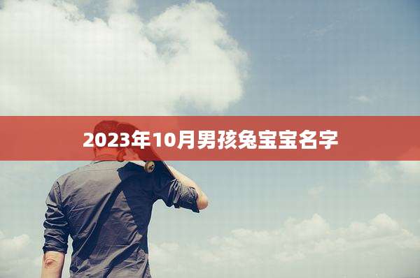 2023年10月男孩兔宝宝名字