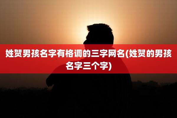 姓贺男孩名字有格调的三字网名(姓贺的男孩名字三个字)