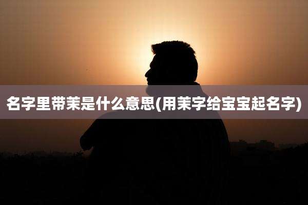 名字里带茉是什么意思(用茉字给宝宝起名字)