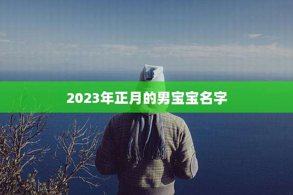 2023年正月的男宝宝名字