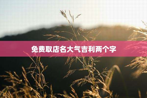 免费取店名大气吉利两个字