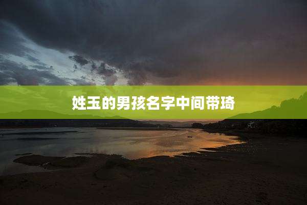 姓玉的男孩名字中间带琦
