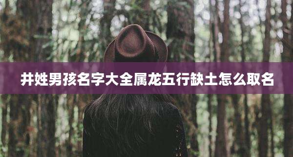 井姓男孩名字大全属龙五行缺土怎么取名