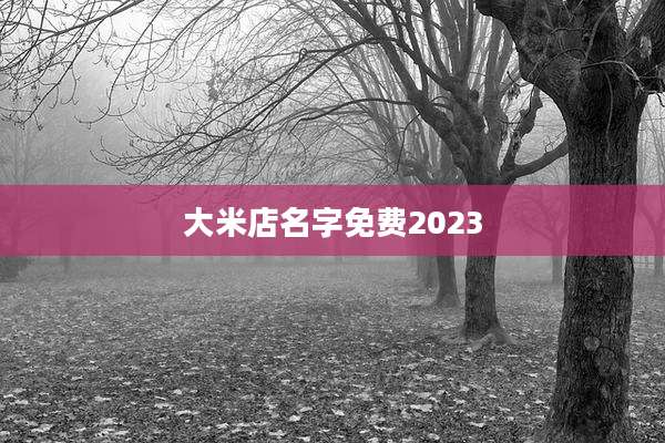 大米店名字免费2023