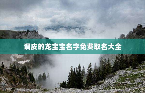 调皮的龙宝宝名字免费取名大全
