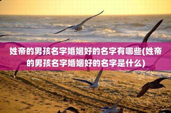 姓帝的男孩名字婚姻好的名字有哪些(姓帝的男孩名字婚姻好的名字是什么)