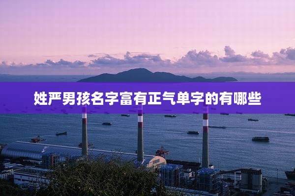 姓严男孩名字富有正气单字的有哪些