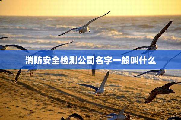 消防安全检测公司名字一般叫什么