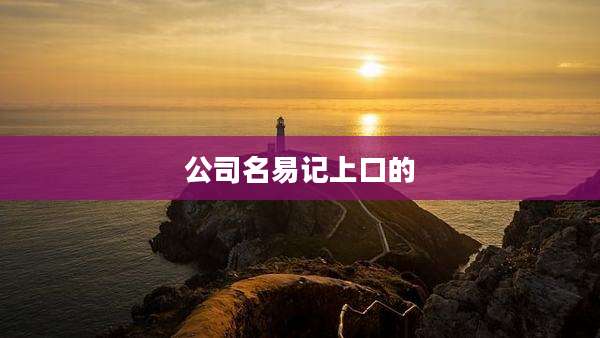 公司名易记上口的