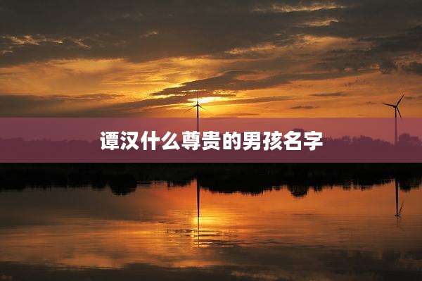 谭汉什么尊贵的男孩名字