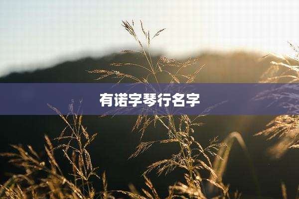 有诺字琴行名字