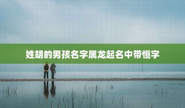姓胡的男孩名字属龙起名中带恒字