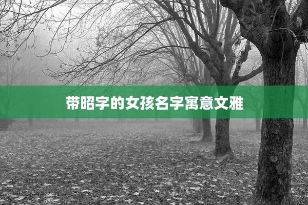 带昭字的女孩名字寓意文雅