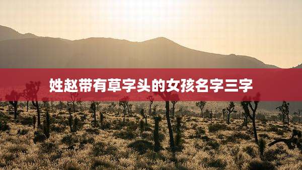 姓赵带有草字头的女孩名字三字