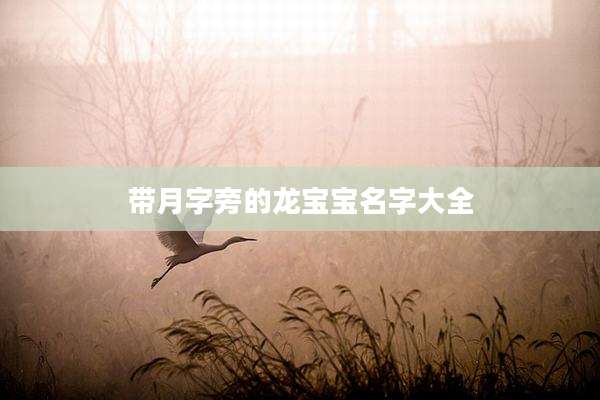 带月字旁的龙宝宝名字大全