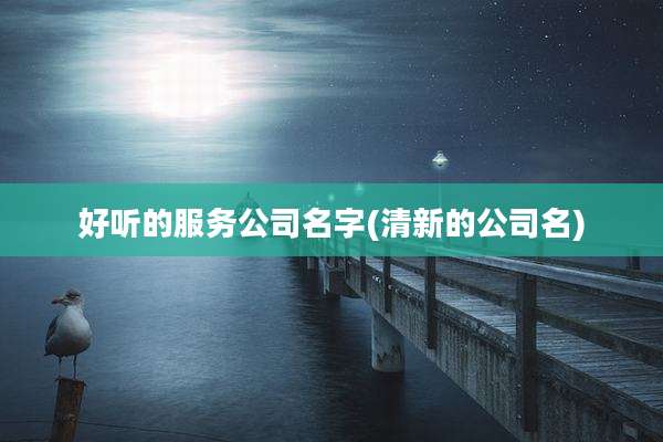 好听的服务公司名字(清新的公司名)