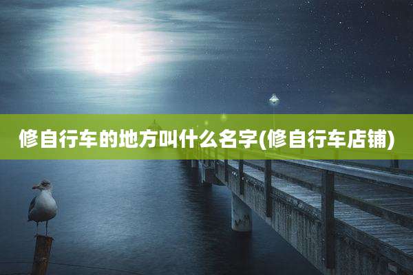 修自行车的地方叫什么名字(修自行车店铺)