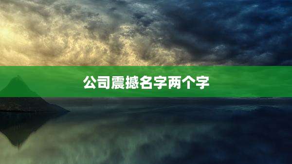 公司震撼名字两个字