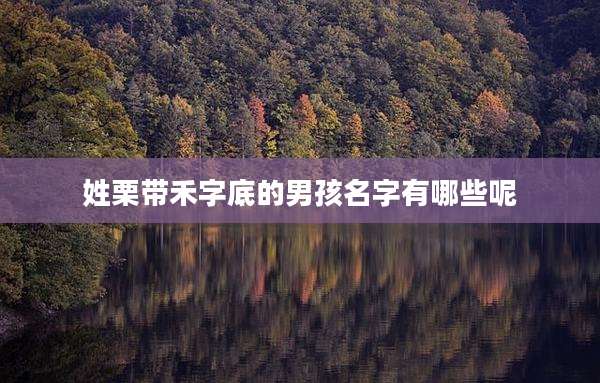 姓栗带禾字底的男孩名字有哪些呢