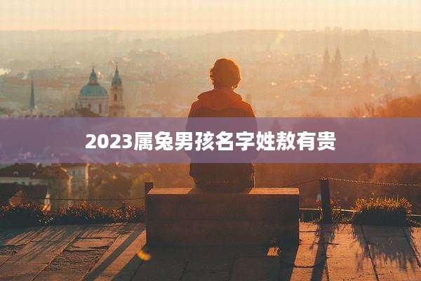 2023属兔男孩名字姓敖有贵