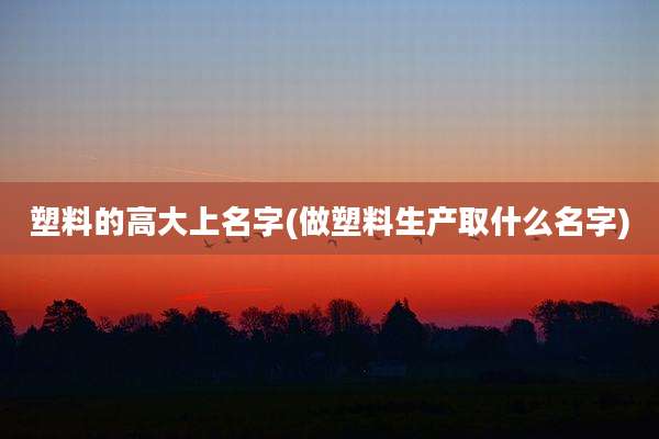 塑料的高大上名字(做塑料生产取什么名字)