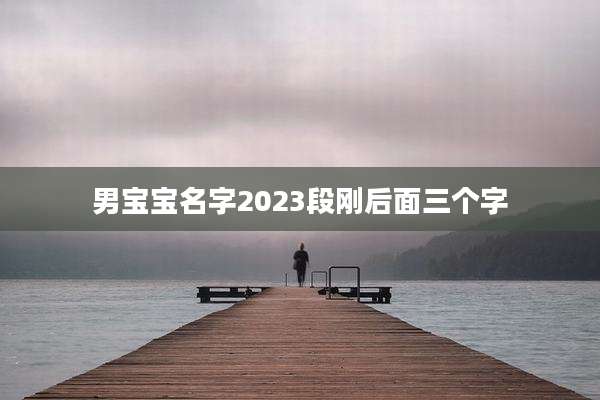 男宝宝名字2023段刚后面三个字