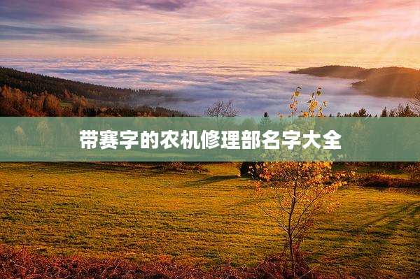 带赛字的农机修理部名字大全