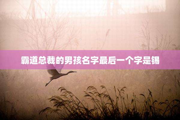 霸道总裁的男孩名字最后一个字是锡
