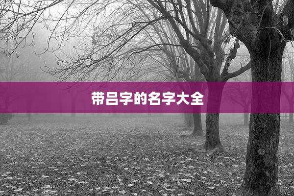 带吕字的名字大全