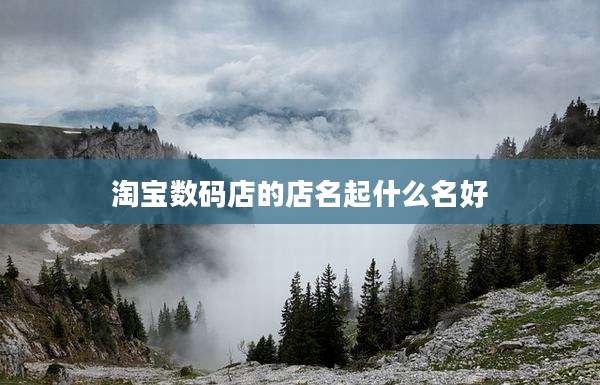 淘宝数码店的店名起什么名好