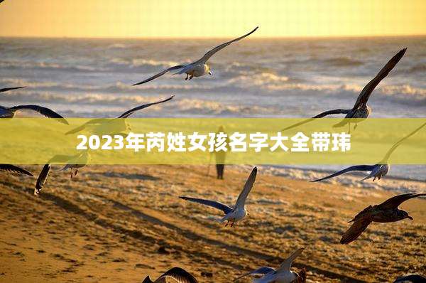 2023年芮姓女孩名字大全带玮